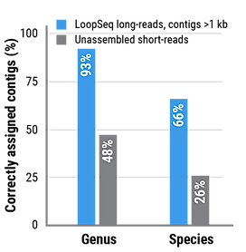 Graph of correctly assigned contigs by genus and species
