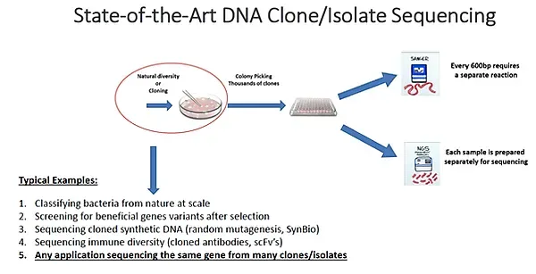 State-of-the-Art DNA Clone/Isolate Sequencing