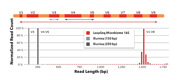 Graph of normalized read count vs read length