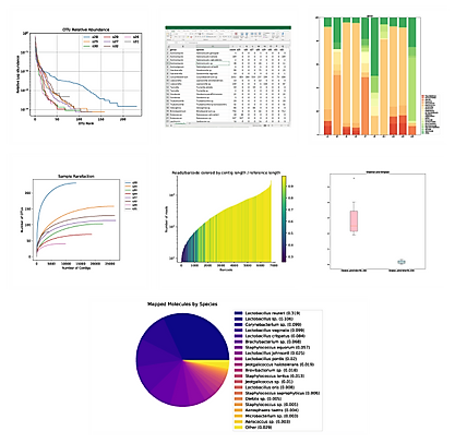 Element LoopSeq Reports Collection