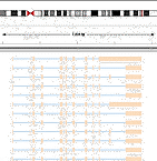 LoopSeq report photo