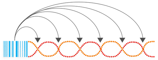 Distribution