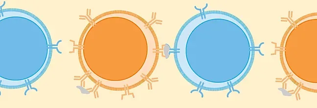 Immune Cell Profiling