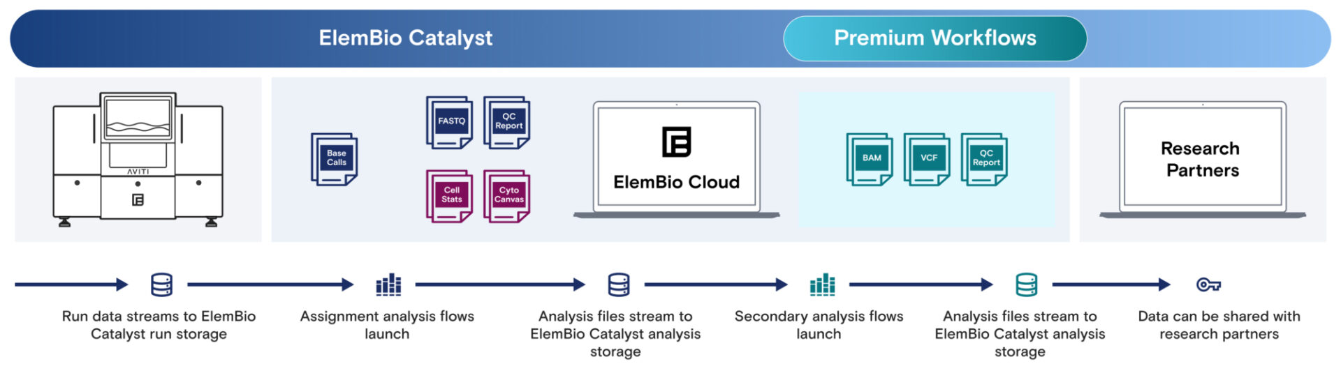 EB Catalyst Diagram