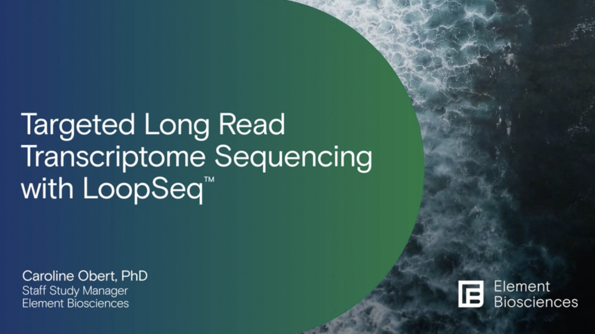 Targeted LongRead Transcriptome Sequencing LoopSeq Element Biosciences