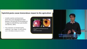 Carlos Congrains Genomics applied to species identification of fruit fly pests 1 6 screenshot