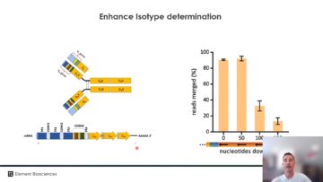 Immune Repertoire Sequencing with Element Loop Seqtm Long Read Sequencing 5 35 screenshot