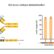 Immune Repertoire Sequencing with Element Loop Seqtm Long Read Sequencing 5 35 screenshot