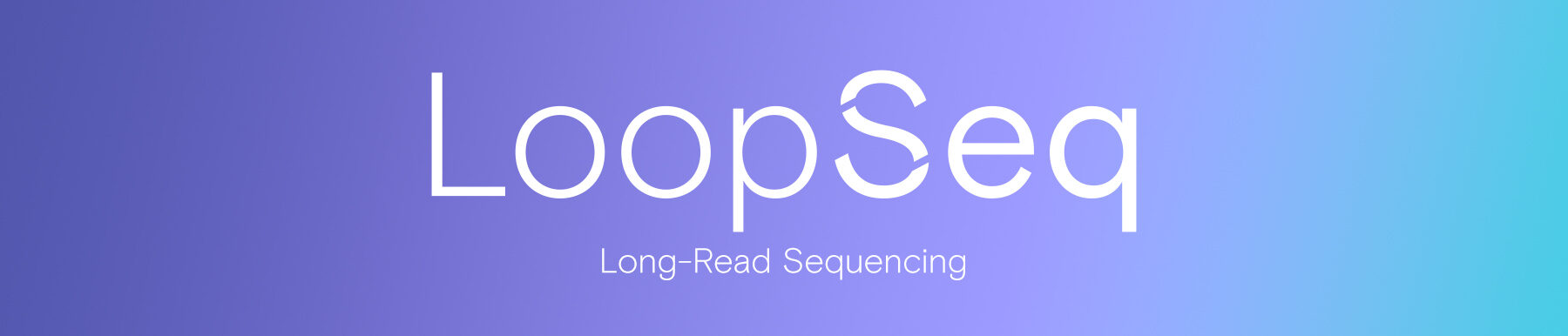 Loop Seq Long Read Technology