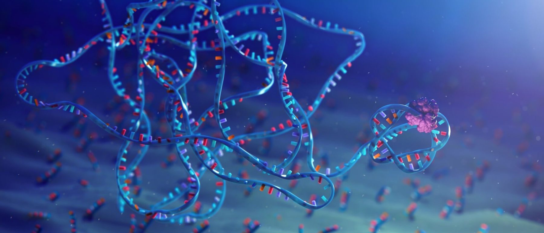 Visualization of Element Biosciences Surface Chemistry DNA Polony